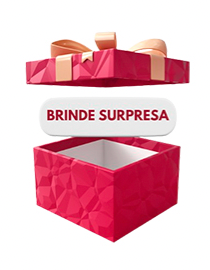 Brinde Surpresa 2