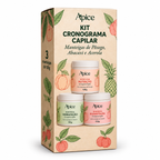 Kit Cronograma Capilar