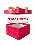 Brinde Surpresa 6