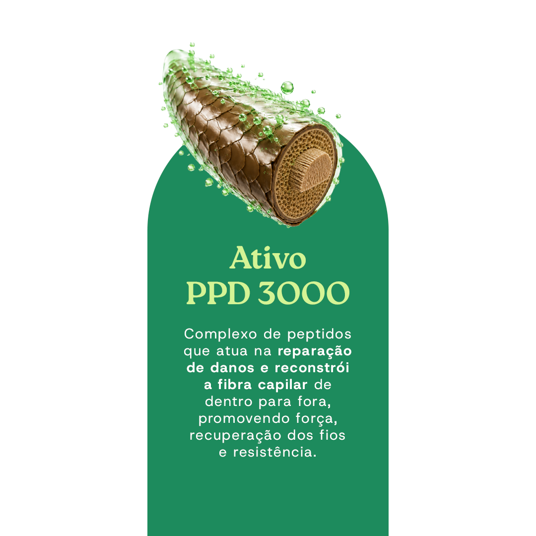 Leave in AP3000