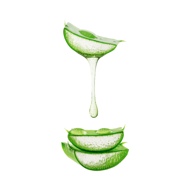 Extrato de Aloe Vera