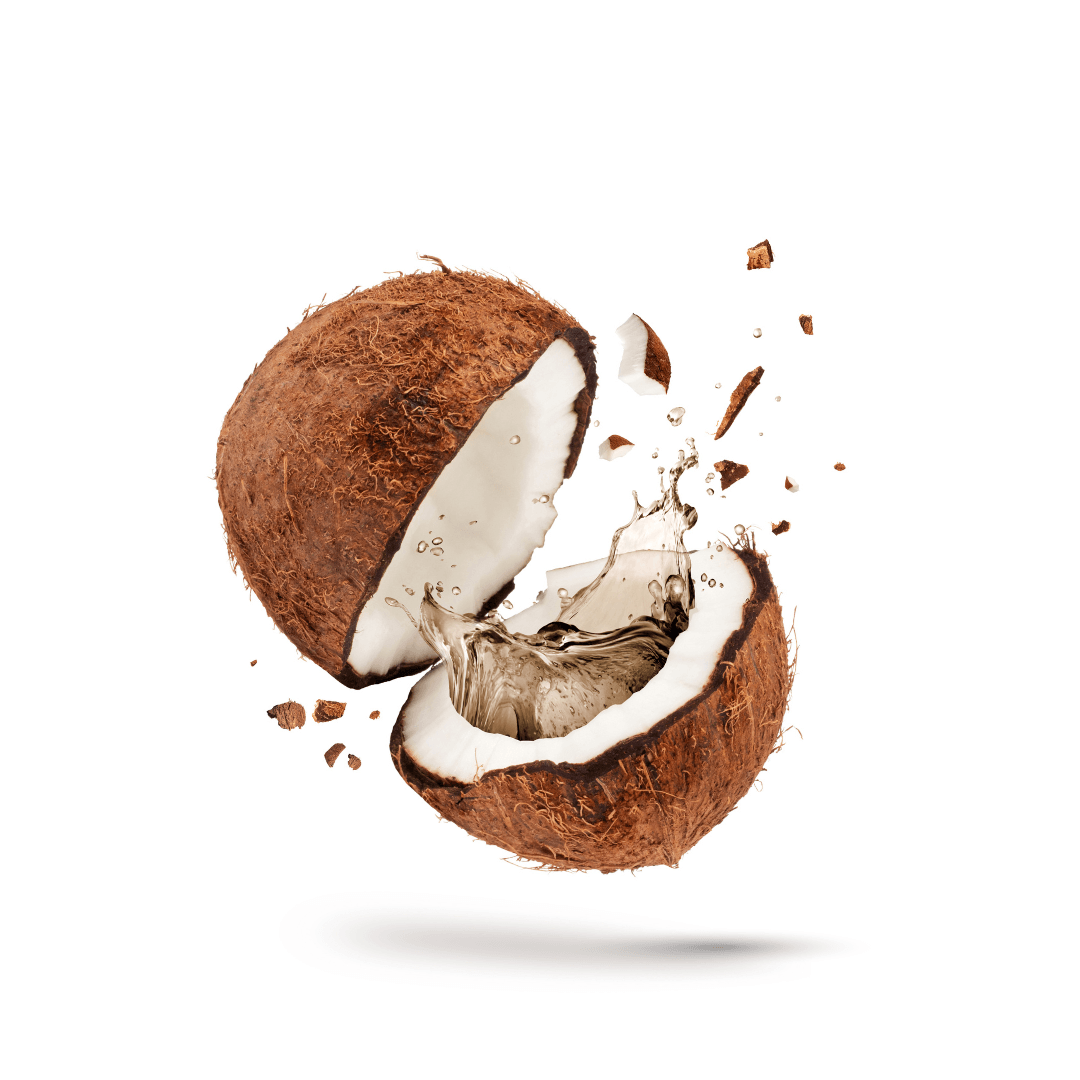 Óleo de Coco